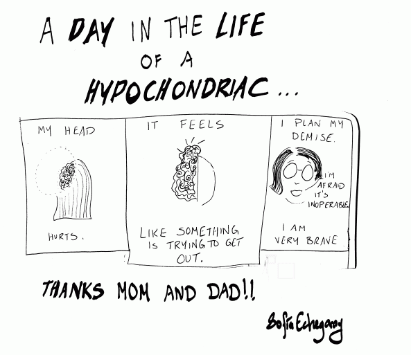 A Day in the Life...